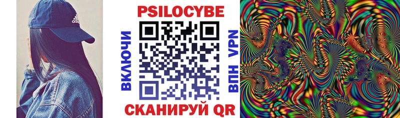 blacksprut зеркало Верхняя Пышма Псилоцибиновые грибы Magic Shrooms наркошоп